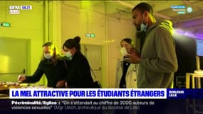 La métropole de Lille est la deuxième de France en terme d'accueil d'étudiants étrangers