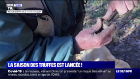 Alpes-Maritimes: la saison des truffes est lancée