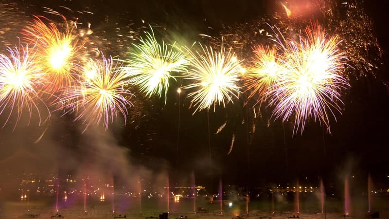 Un feu d'artifice à Annecy, Haute-Savoie. (photo d'illustration)