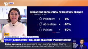 Agriculture: la part des importations toujours conséquente