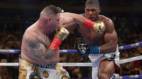 Ruiz et Joshua