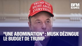  "Une abomination" : Musk dézingue le budget de Trump 