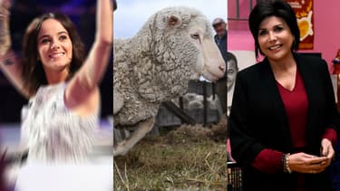 Alizée et Liane Foly font partie des stars qui se sont prêtées au jeu.