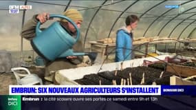 Embrun: un couple d'agriculteurs à la retraite ont transmis leurs terres à de jeunes exploitants