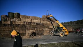 Une cinquantaine d'agriculteurs avec 25 tracteurs ont bloqué jeudi la sortie d'Auch vers Toulouse à l'appel de la Coordination rurale, érigeant avec des bottes de foin un "mur des cons", en référence aux politiques.