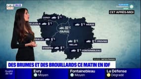 Météo Île-de-France: un mercredi sous les nuages et la brume, les températures douces pour la saison
