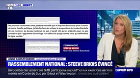 Rassemblement national: Steeve Briois et Bruno Bilde et évincés du bureau exécutif par Jordan Bardella