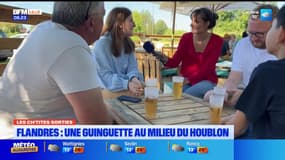 Les Ch'tites Sorties du samedi 7 septembre 2024 - Flandries, une guinguette au milieu du houblon
