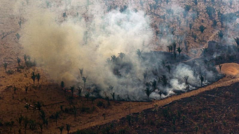 Brésil: plus de 3000 incendies détectés en une journée en Amazonie, une première depuis 2007