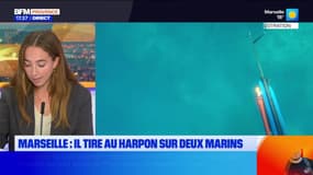 Marseille: ouverture du procès d'un pêcheur accusé d'avoir tiré au harpon sur deux marins