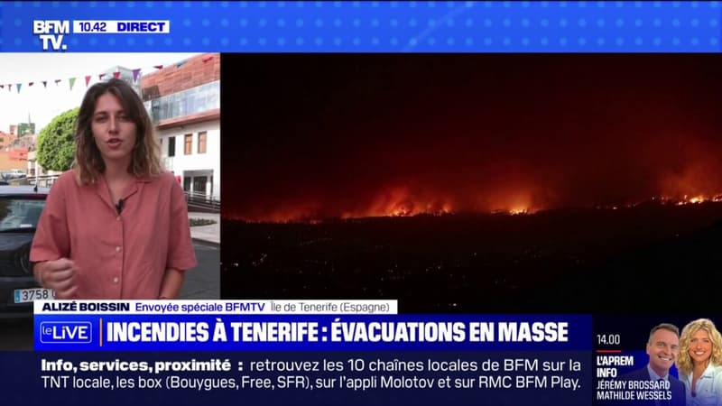 Incendie à Tenerife: 6% de l'île espagnole a déjà été parcourue par les flammes