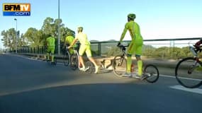 Les coureurs du Tour de France à trottinette en plein effort.