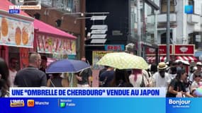 La marque "Le Parapluie de Cherbourg" veut conquérir le marché japonais avec son ombrelle