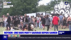 Roybon: une rave party sauvage depuis samedi