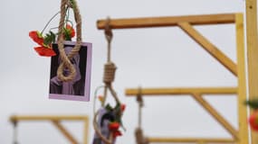 Le portrait d'opposants iraniens et des fleurs placées sur une potence, lors d'une manifestation de l'opposition iranienne en exil pour protester contre la célébration en Iran du 40e anniversaire de la Révolution islamique, le 8 février 2019 à Paris. Photo d'illustration
