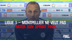 Ligue 1 – Cette fois, Montpellier ne veut pas rater son sprint final
