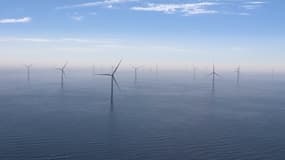 Le producteur danois d'énergie Ørsted (ex-Dong Energy) a annoncé jeudi l'inauguration du plus grand champ éolien offshore du monde, en mer d'Irlande.
