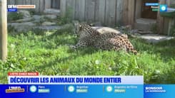 L'été chez nous: à la découverte du parc zoologique de Champrépus