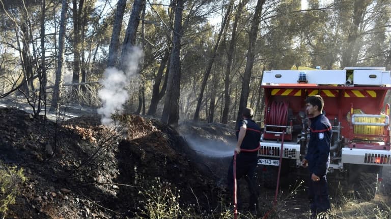 Des pompiers luttent contre un incendie dans les Pyrénées-Orientales, entre Salses-le-Château et Opoul-Perillos,le 29 juin 2022. (Illustration).