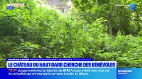 Saverne: appel à bénévoles pour débroussailler l'arrière du château du Haut-Barr