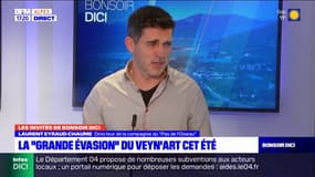 Hautes-Alpes: la "Grande évasion" du Veyn'Art cet été