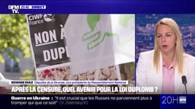 Loi Duplomb: pour Edwige Diaz, vice-présidente du Rassemblement national, “le gouvernement a été en dessous de tout et craint le pire pour nos agriculteurs” 