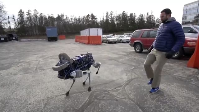 Spot, le robot chien, ne tombe pas quand il se prend un coup, mais saute de côté puis se redresse.