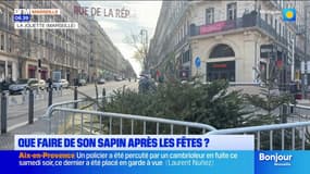 Que faire de son sapin après les fêtes ? 