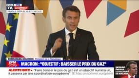 Emmanuel Macron: "Notre stratégie européenne doit reposer sur trois piliers", la sobriété, les énergies renouvelables et le nucléaire"