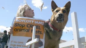 Une militante de l'association PETA manifeste, le 20 avril 2005 à Marseille, contre les tests cliniques réalisés sur les animaux