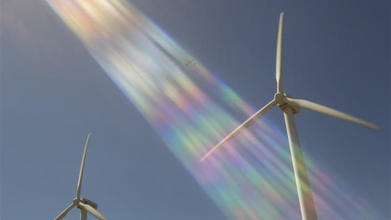 Le gouvernement a fait adopter par les députés, dans la nuit de jeudi à vendredi, des amendements qui visent à assouplir la réglementation sur l'éolien en France. /Photo d'archives/REUTERS/Santiago Ferrero