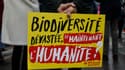 Un panneau d'un opposant au projet de loi bioéthique ce dimanche à Paris (photo d'illustration)