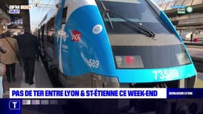Transports: pas de TER entre Lyon et Saint-Etienne ce week-end