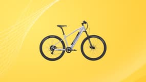 Cette promo sur ce vélo électrique bat son plein chez Intersport à quelques jours de la fin des soldes