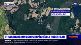 Strasbourg: un corps repêché par les pompiers à la Robertsau