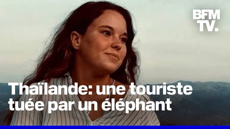 Une touriste espagnole de 22 ans tuée par un éléphant en Thaïlande