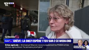 "Pendant les vacances scolaires, c'est toujours un peu pénible": Des voyageurs réagissent à la grève de la SNCF prévue ce week-end
