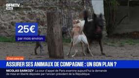 C'est votre vie - 10/11