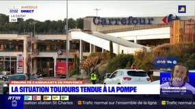 Carburant: le bioéthanol, la solution pour lutter contre la pénurie? 