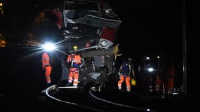 Un TER a percuté un arbre tombé sur la voie entre Montpellier et Nîmes mercredi.