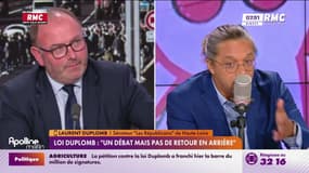 Loi Duplomb: "Ce système de pétition fait pour mettre la pression au Conseil constitutionnel"