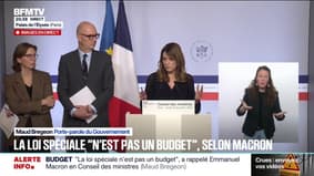 Budget 2026: "La loi spéciale est une solution temporaire, c'est un palliatif, c'est un sparadrap", déclare Maud Bregeon, porte-parole du gouvernement