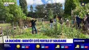 La Duchère: bientôt une cité fertile et solidaire