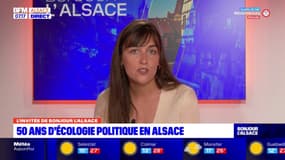 Alsace: la naissance de l'écologie politique racontée en images