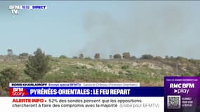 Pyrénées-Orientales: plus de 1100 hectares de végétation ont brûlé