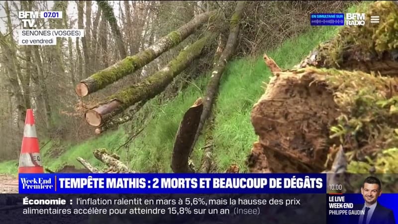 Tempête Mathis: deux morts après des chutes d'arbres en Grand Est