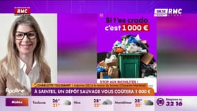 Dépôt sauvage - Saintes : "6000 sacs ramassés par mois"