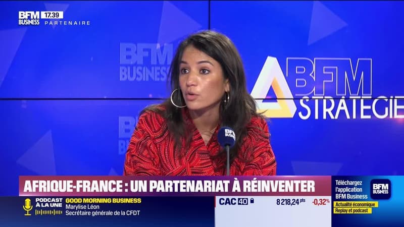 BFM Stratégie (Cours n° 368) : Afrique-France, un partenariat à réinventer - 06/06