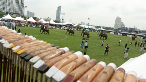 Un tournoi de polo à dos d'éléphants se déroule en plein coeur de Bangkok, le 10 mars 2016 Un tournoi de polo à dos d'éléphants se déroule en plein coeur de Bangkok, le 10 mars 2016