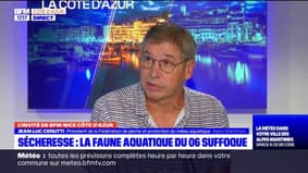 Alpes-Maritimes:le président de la fédération de pêche et protection du milieu aquatique évoque l'impact de la sécheresse sur la faune aquatique  
